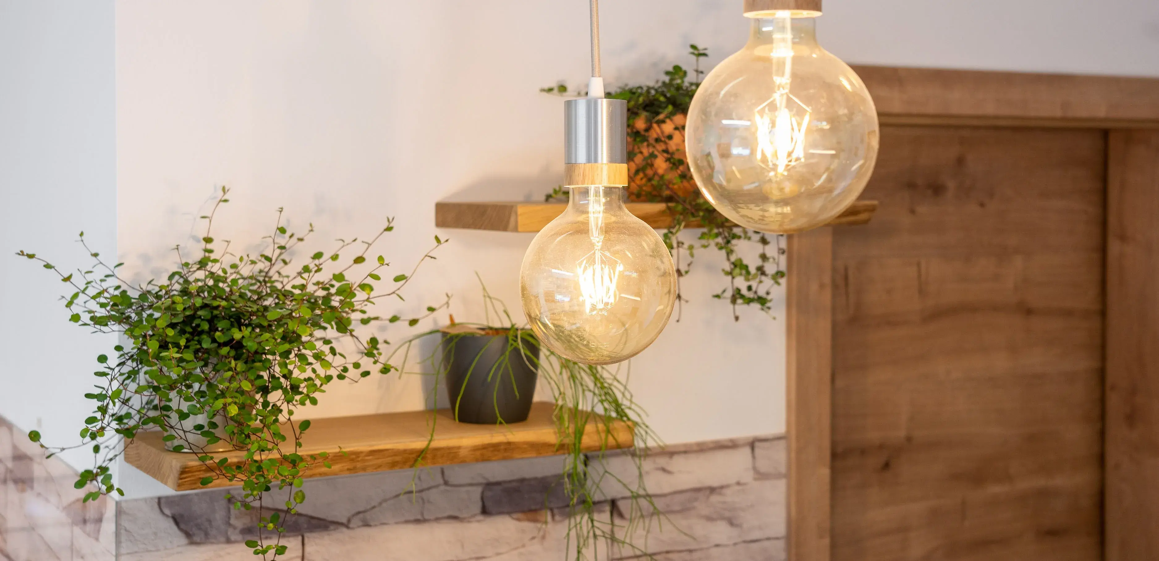 Zwei leuchtende Glühbirnen über Holzregal mit grünen Pflanzen.