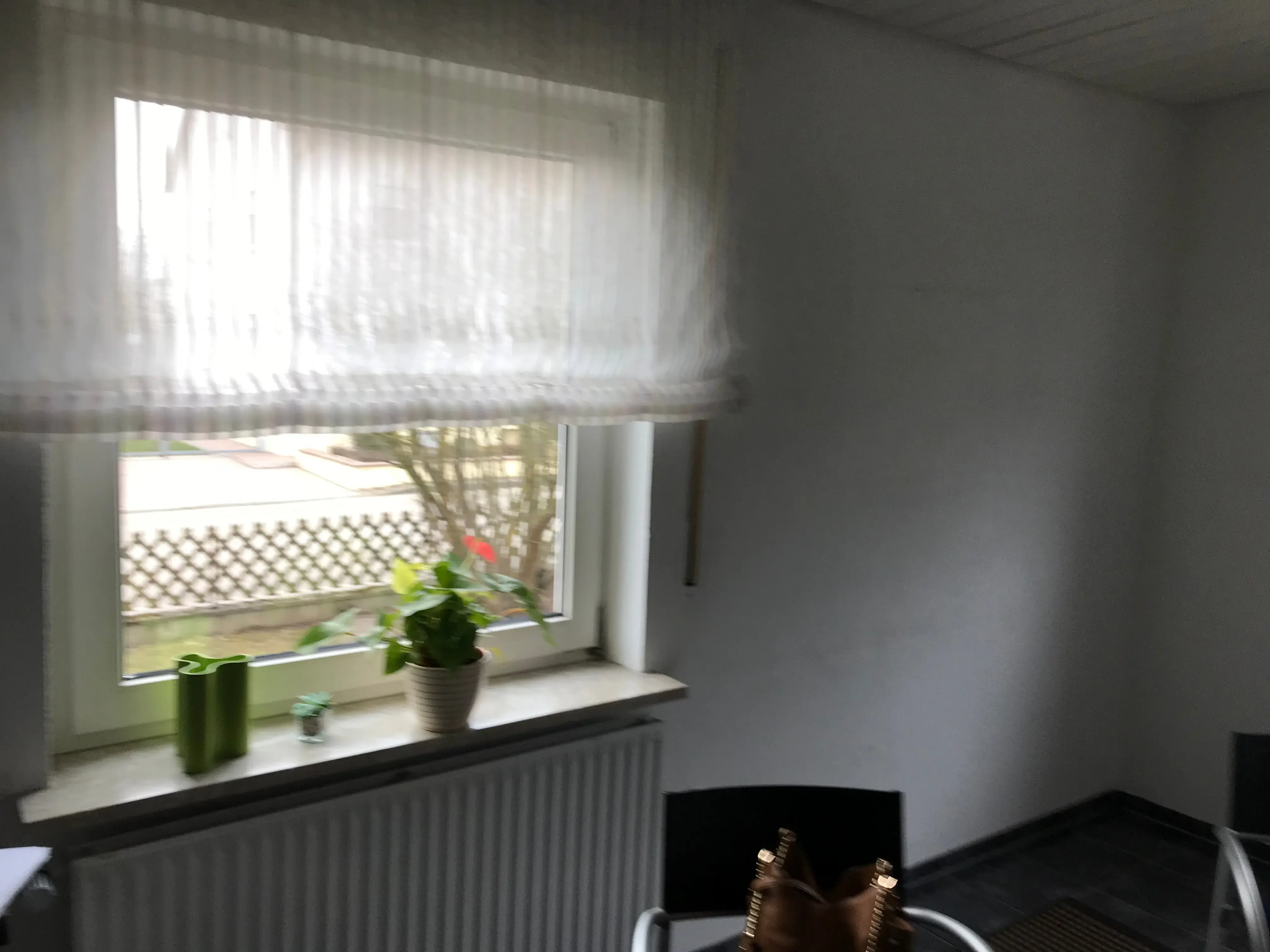 Fenster mit weißem Vorhang, zwei Pflanzen auf der Fensterbank, Stuhl im Vordergrund.